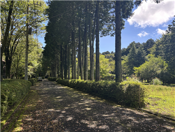 北東側接道/南東方向を撮影
