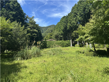 敷地内北西方向を撮影
