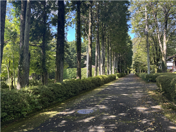 北東側接道/北西方向を撮影