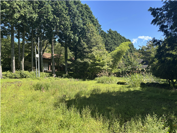 敷地内北東方向を撮影