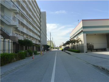 東側接道(北方向を撮影)