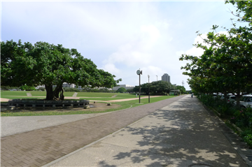 新都心公園まで徒歩3分（約210m）