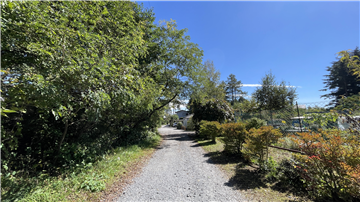南西側前面道路（南東方向）を撮影