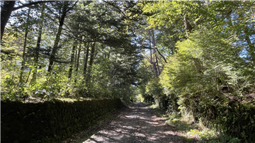 北西側前面道路（南西方向を撮影）