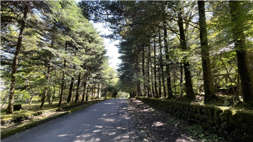 北東側前面道路（南東方向を撮影）