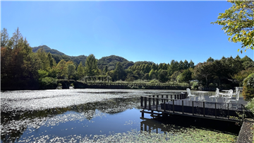 別荘地内のレマン湖(徒歩約6分/約450m)