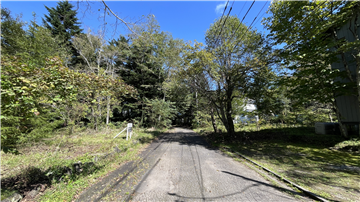 前面道路(北東方向を撮影)