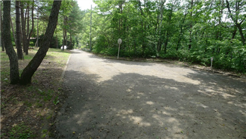 敷地からの前面道路（東側を撮影）