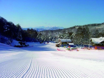 冬期：スキー場（タウン内施設）