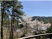 リセス河口湖Ａ棟