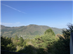 箱根小涌園・緑の村