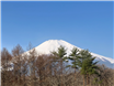【山中湖】ファミール・ヴィラ山中湖弐番館