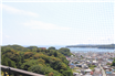 【勝浦】セレブラール勝浦