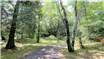 【中軽井沢北】軽井沢千ケ滝別荘地西区