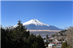 ダイアパレス山中湖