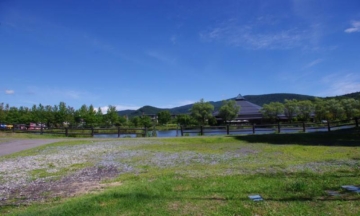 マンション北側の矢ヶ崎公園