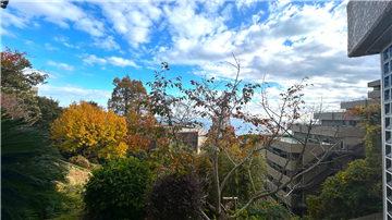 ≪温泉大浴場脱衣所からの眺望≫