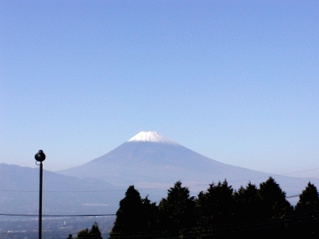 建物の随所から富士山を望む