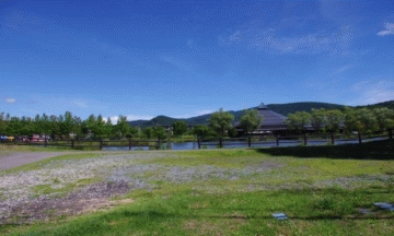 マンション南側の矢ヶ崎公園