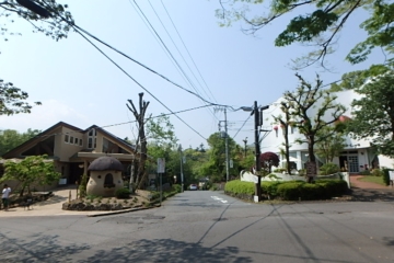 マンション入り口より伊豆高原駅に向かう道路（北方向）