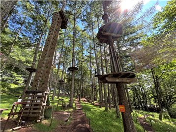 フォレストアドベンチャー蓼科