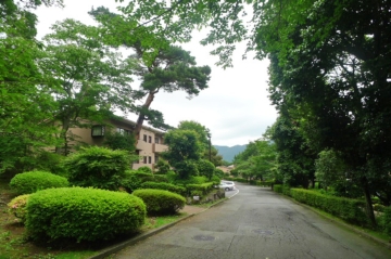 木々の緑多い静かな別荘地内です
