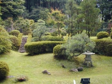 閑静な日本庭園