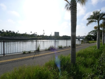 「壷川」駅対岸には奥武山公園（おうのやまこうえん）お散歩に最適！