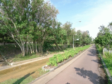 国場川沿いの漫湖公園徒歩５分（約４００ｍ）マングローブも自生する自然公園