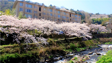 マンション外観／桜の時期に撮影