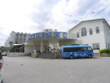 やんばる海の駅まで徒歩２分（約１８０ｍ）