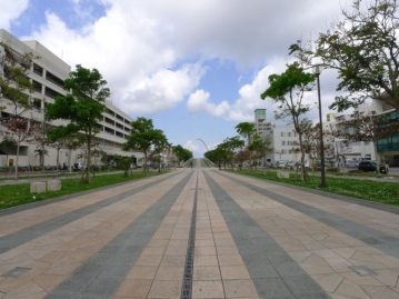 対象不動産の前面に広がる新都心公園遊歩道