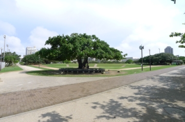 新都心公園まで約７０ｍ