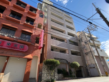 外観（地上１２階建・総戸数２５戸）