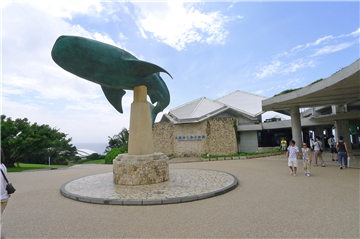 日本最大級の「美ら海水族館」まで車で約９０分・約５９．５ｋｍ